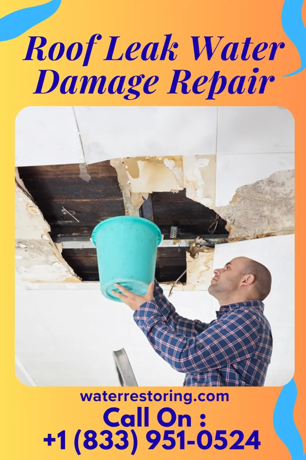 Roof Leak Water Damage Repair in Zephyrhills South, FL